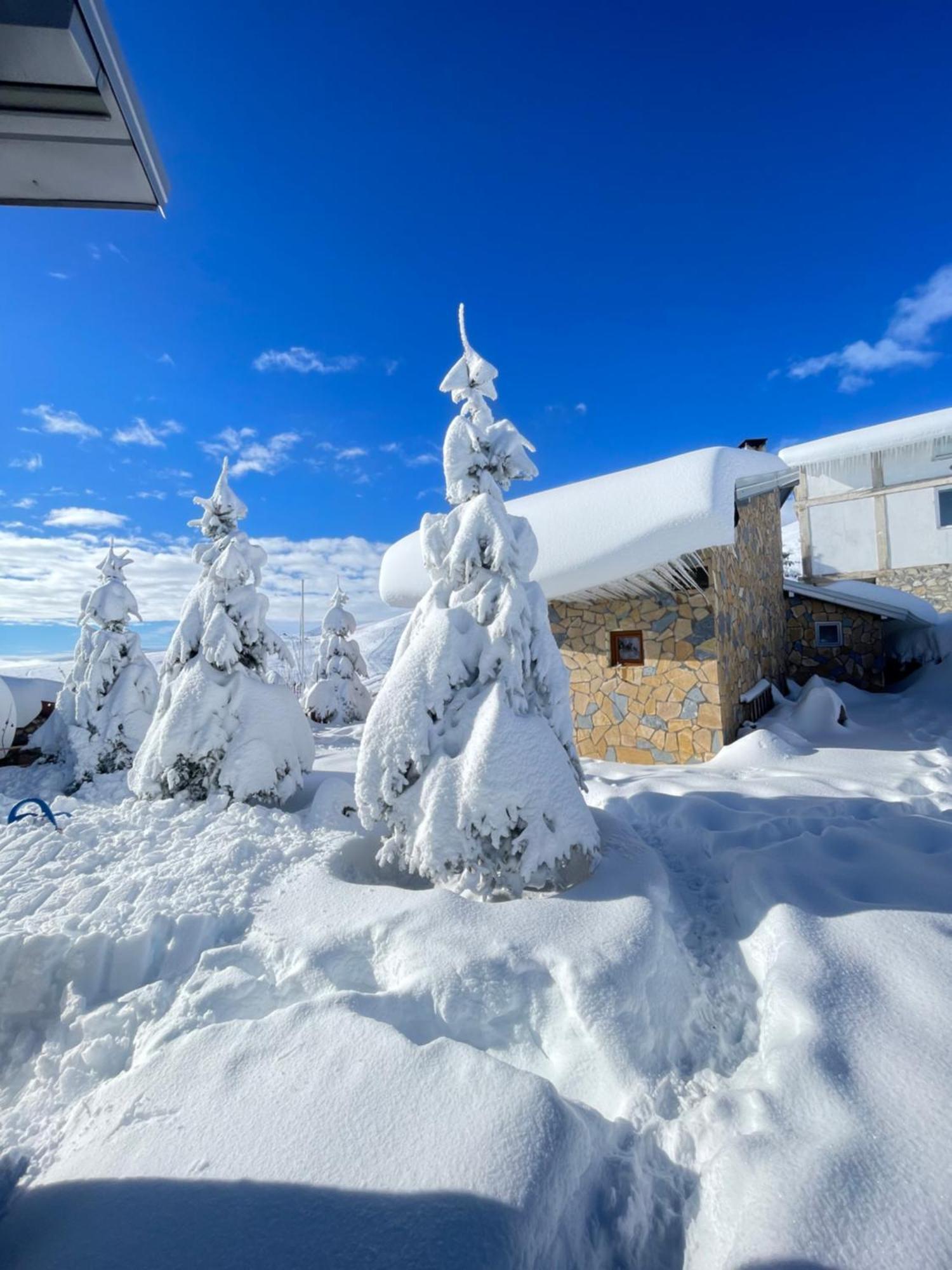 Villa 80 Kodra E Diellit Тетово Екстер'єр фото